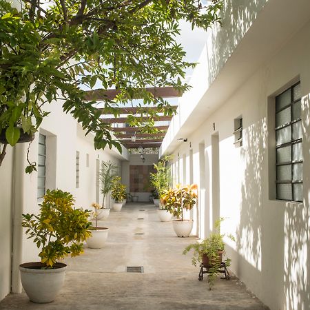 El Tigre De Santiago Hostel Merida Exterior photo