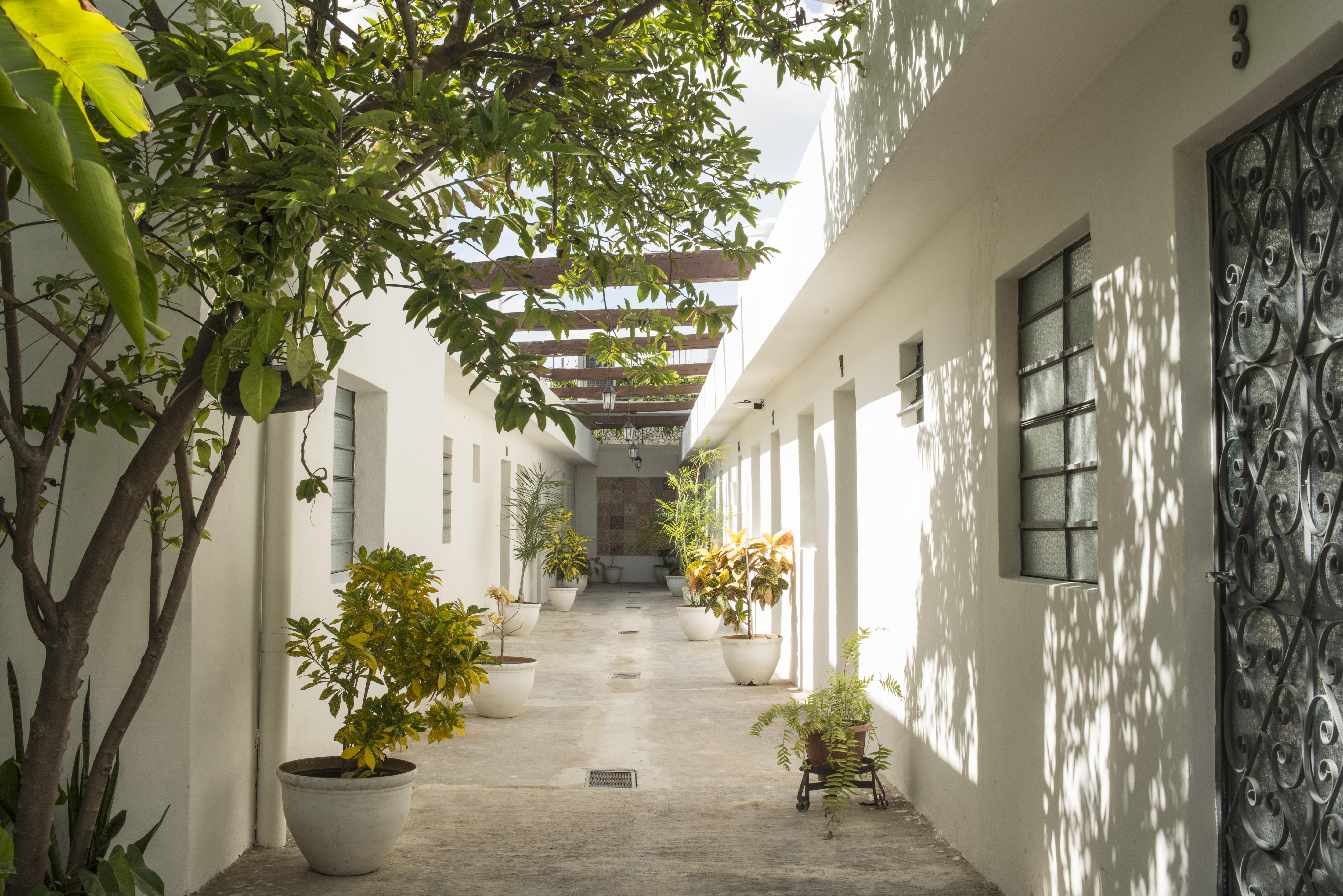 El Tigre De Santiago Hostel Merida Exterior photo